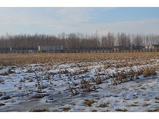 Property photo 45 - FARMLAND AUCTION, 60+/- Acres in 6 Tracts ranging from 4 to 20 acres & in combinations!